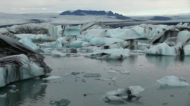 在冰岛奥斯图尔斯卡夫费尔国家公园和霍夫之间的Jokulsarlon冰泻湖的水冰山和冰川中游泳的鸟视频素材