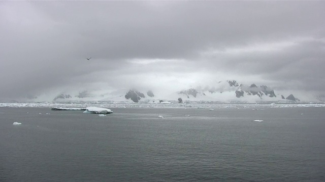 海面上多雾的海岸线和流动的冰山视频素材