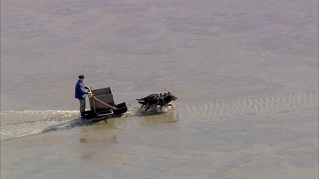 人与狗在车上的WS AERIAL TS视图/不来梅港，下萨克森州，德国视频素材