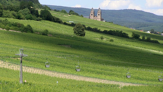 WS高架缆车行驶的景观/ RÃ¼desheim, Hesse，德国视频素材