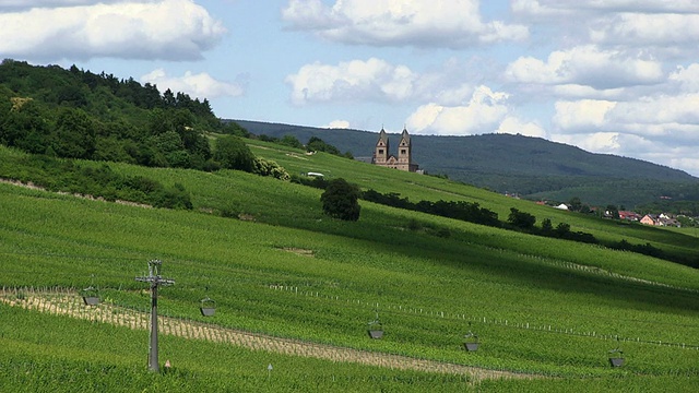 WS高架缆车行驶的景观/ RÃ¼desheim, Hesse，德国视频素材