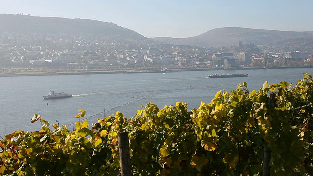 小镇附近的河流景观/ RÃ¼desheim, Hesse，德国视频素材