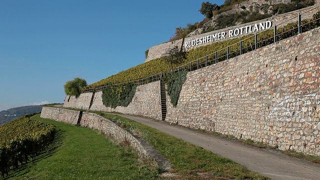 小镇附近的葡萄园景观/ RÃ¼desheim, Hesse，德国视频素材