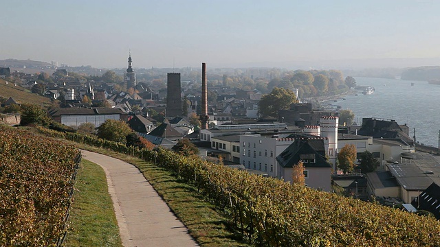 小镇附近的葡萄园景观/ RÃ¼desheim, Hesse，德国视频素材