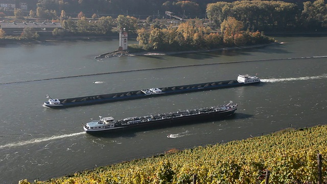 WS货船在葡萄园附近的河上行驶/ RÃ¼desheim, Hesse，德国视频素材