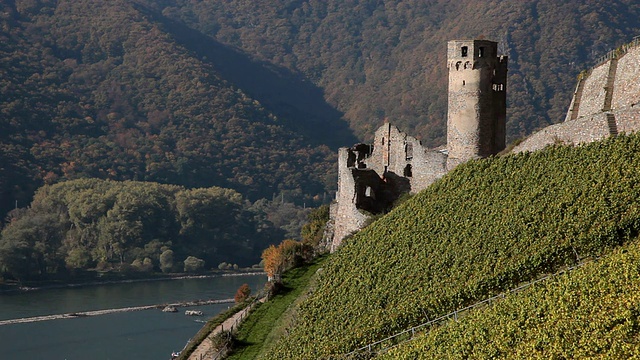 葡萄园附近城堡的WS视图/ RÃ¼desheim, Hesse，德国视频素材