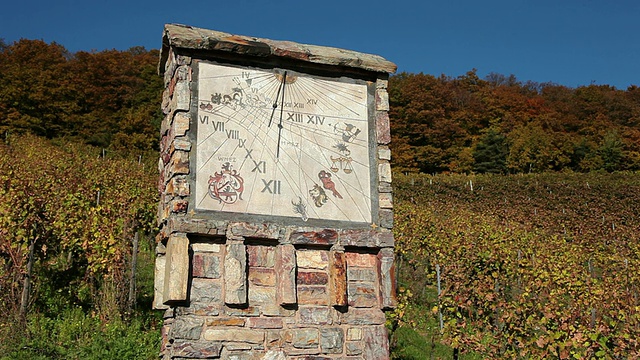 MS View of sundial in vineyard / RÃ¼desheim, Hesse，德国视频素材