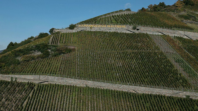 WS View of vineyards / Assmanns-hausen, Hesse，德国视频素材