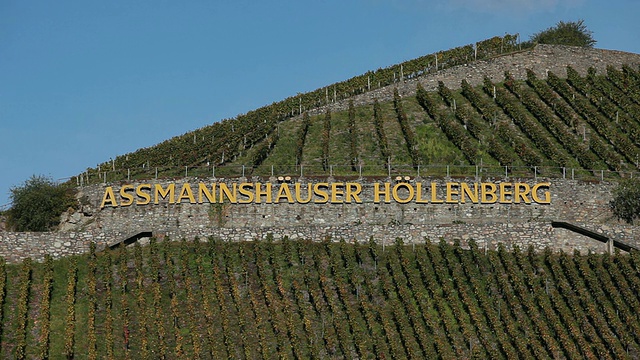 MS View of vineyards / RÃ¼desheim, Hesse，德国视频素材