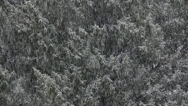 WS视角的降雪/萨尔堡，莱茵兰-普法尔茨，德国视频素材