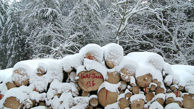 在德国的莱茵兰-普法尔茨萨尔堡，原木被积雪覆盖视频素材