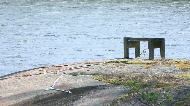 MS Bench at rock coastal / Uro，斯德哥尔摩，瑞典视频素材