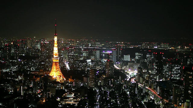 WS HA东京塔夜景/日本东京视频素材