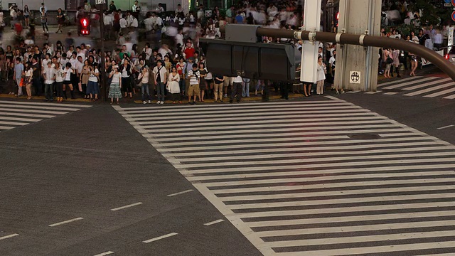 T/L WS HA晚上繁忙的街道十字路口/日本东京视频素材