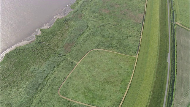 草地鸟瞰图/ Emden + Pilsum，下萨克森州，德国视频素材