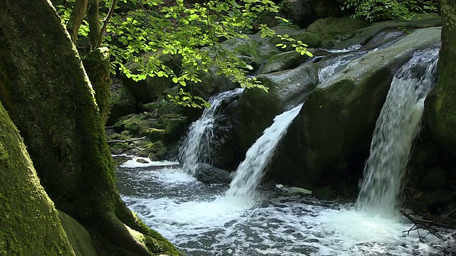 MS Schiessentumpel瀑布在Mullerthal / Mullerthal, Echternach，卢森堡视频素材