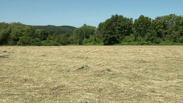 WS Shot of hay / Serrig，莱茵兰-普法尔茨，德国视频素材