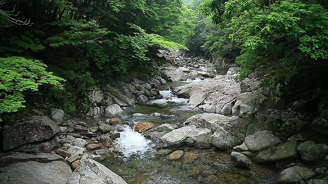 韩国全南道古里根国家公园流动的山溪视频素材