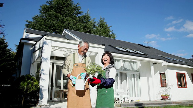 老夫妇谈论植物/藤川口子，山梨县，日本视频素材