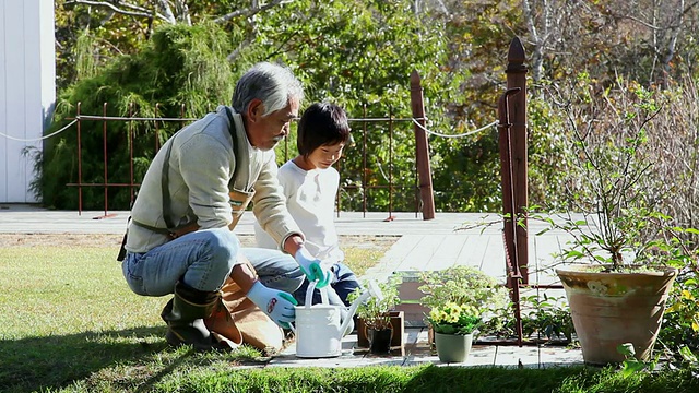 爷爷和孙子正在日本山梨县藤川口子花园做园艺视频素材