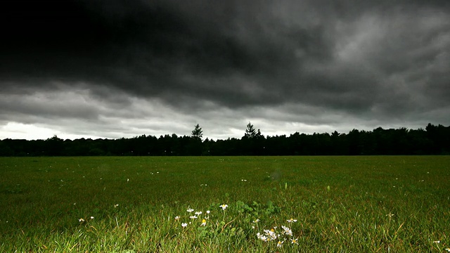 T/L WS暴风雨云在草地和雏菊/英国乡村视频素材