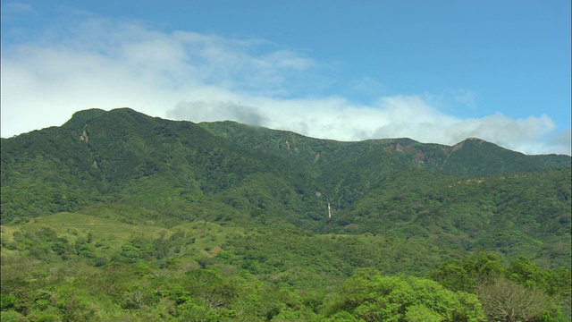 哥斯达黎加瓜纳卡斯特山谷野火正在冒烟视频素材