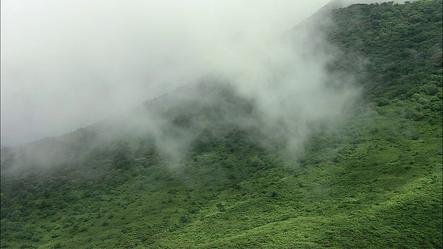 哥斯达黎加瓜纳卡斯特高火山森林上空的云移动视频素材