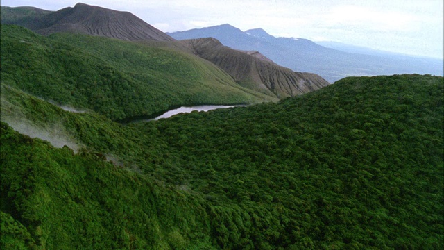 鸟瞰图火山森林/瓜纳卡斯特，哥斯达黎加视频素材