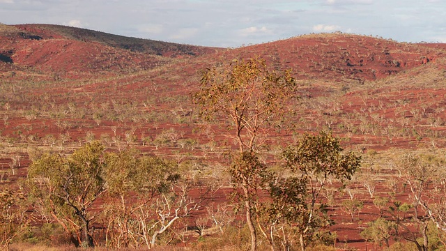 WS PAN国家公园/ Karijini，西澳大利亚，澳大利亚视频素材