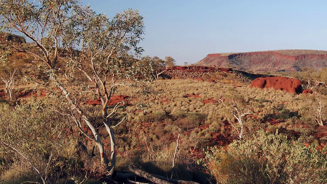 国家公园/ Karijini的峡谷视图，西澳大利亚，澳大利亚视频素材