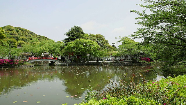 日本神奈川县镰仓市鹤高桥町神社的日本花园景观视频素材