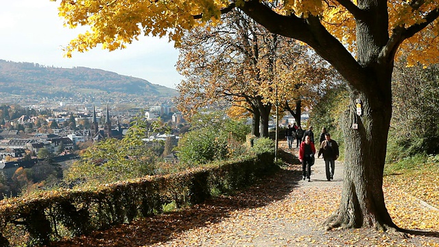 德国巴登-符腾堡，弗莱堡，步行在Schlossberg大厦街的人们视频素材