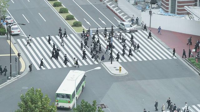 行人过马路/东京，日本视频素材