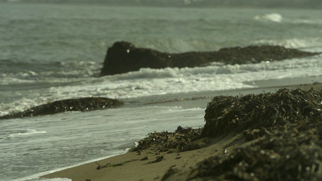 SLO MO海浪冲刷海岸和海藻，西班牙视频素材