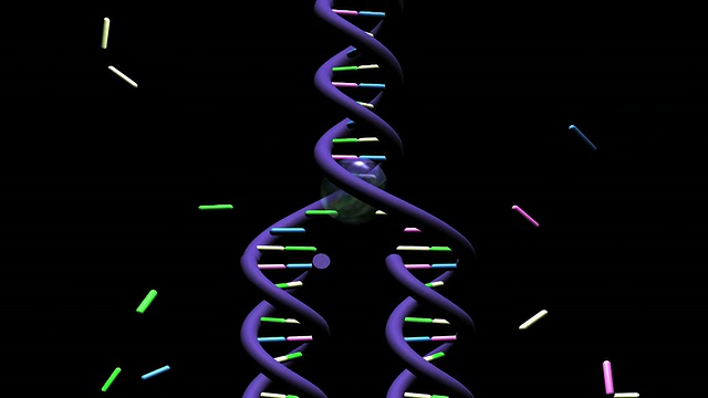 DNA复制是将一个双链DNA分子复制成两个双链分子的过程视频素材