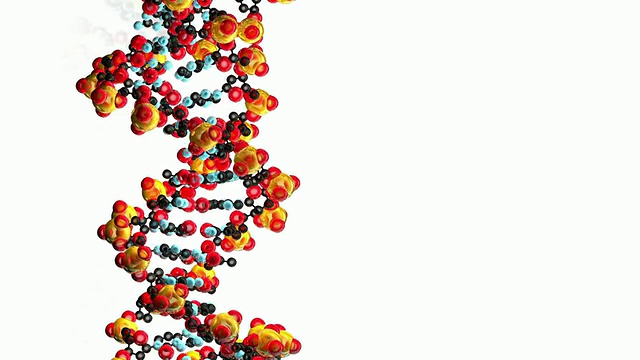 DNA的电脑动画。白色背景视频素材