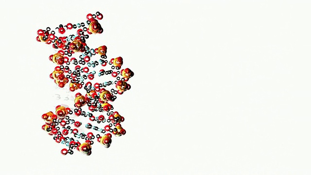 单个DNA的电脑动画。白色背景视频素材