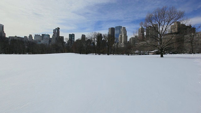 美国纽约，中央公园冬天被雪覆盖视频素材