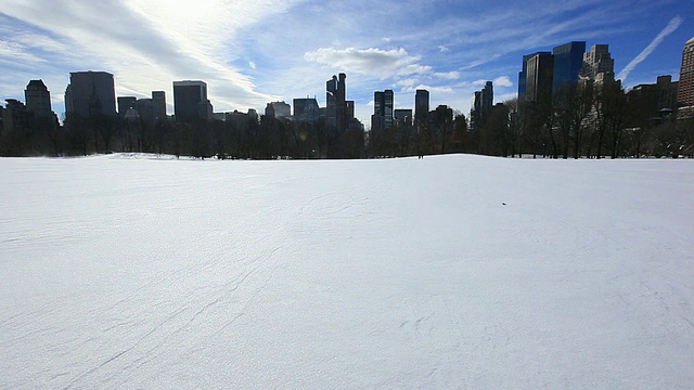 美国纽约，中央公园冬天下雪视频素材