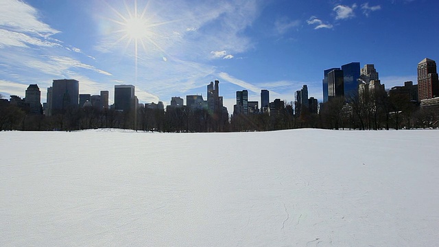 美国纽约，中央公园冬天被雪覆盖视频素材