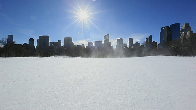 美国纽约，中央公园冬天被雪覆盖视频素材