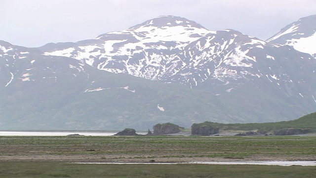 美国，阿拉斯加，卡特迈国家公园，潮汐沼泽和雪山视频素材