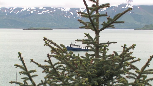 MS, PAN，美国，阿拉斯加，卡特迈国家公园，海湾船，雪山在背景，针叶树在前景视频素材