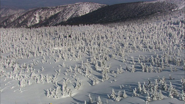 WS POV空中滑雪的人在山/山形，日本视频下载