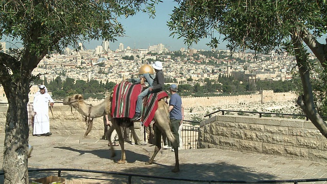 以色列的耶路撒冷Mechoz，人们站在橄榄山上，从圆顶清真寺(Dome of Rock / Jerusalem)眺望城市视频素材