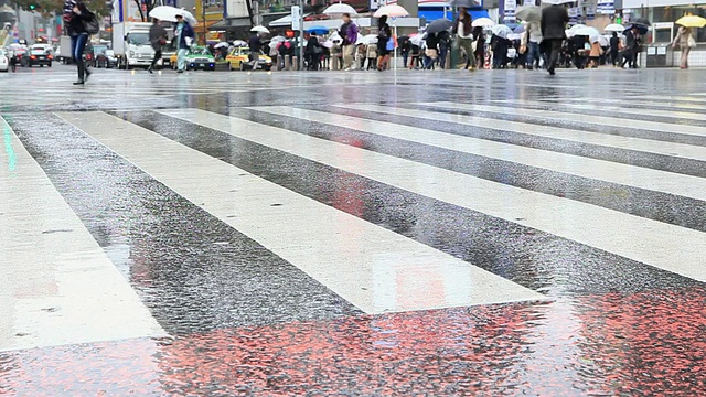 雨中的行人过马路/涩谷，东京，日本视频素材