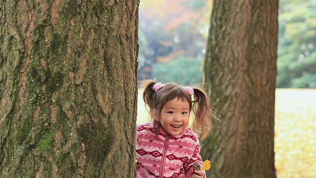 MS Little girl playing捉迷藏在秋天公园/世田谷，东京，日本视频素材