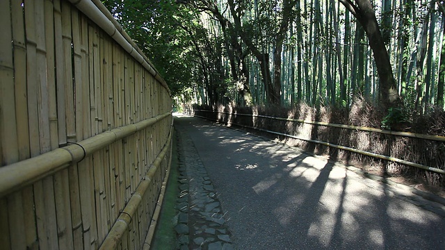 MS路穿过竹林/岚山，京都，日本视频素材