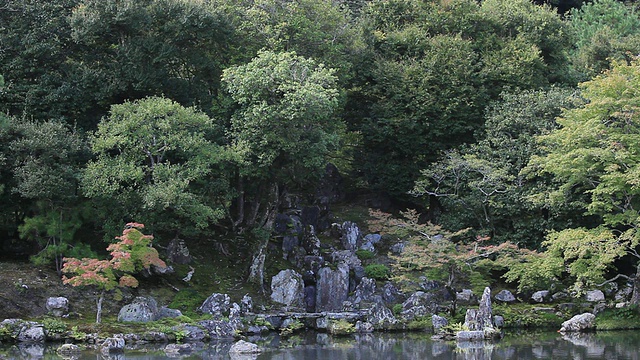 WS景观日本花园/岚山，京都，日本视频素材