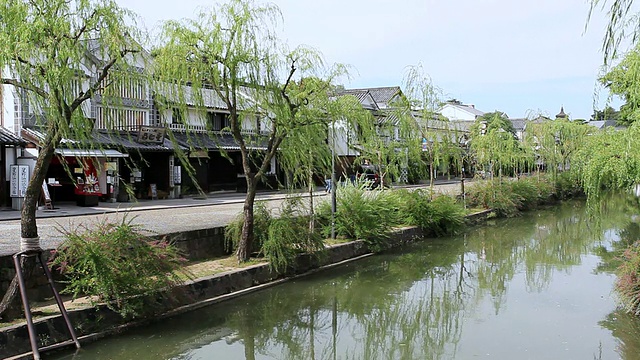 MS View of Weeping willow line of riverside /仓山，冈山，日本视频素材